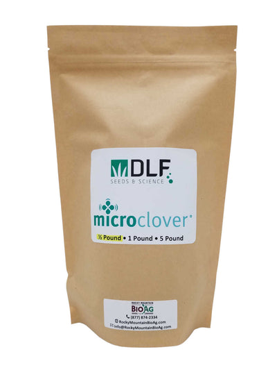 DLF Micro clover Lawn Seeds in Half Pound Bag