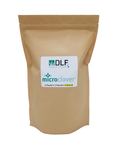 DLF Microclover Lawn Seeds in 5lb Bag