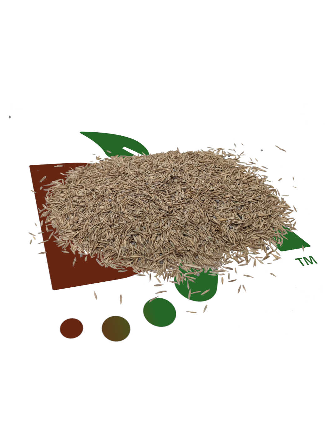 Drought Resistant Turf Grass Seed Blend with Microclover