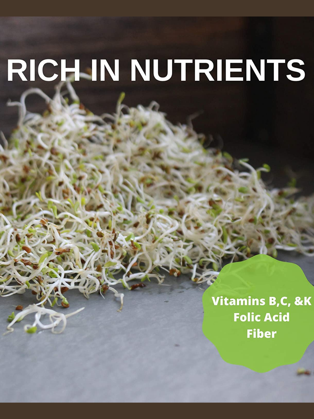 Close Up of Handy Pantry Alfalfa Sprouts