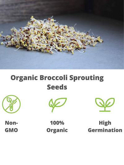 Organic Broccoli Sprouting Seeds Information