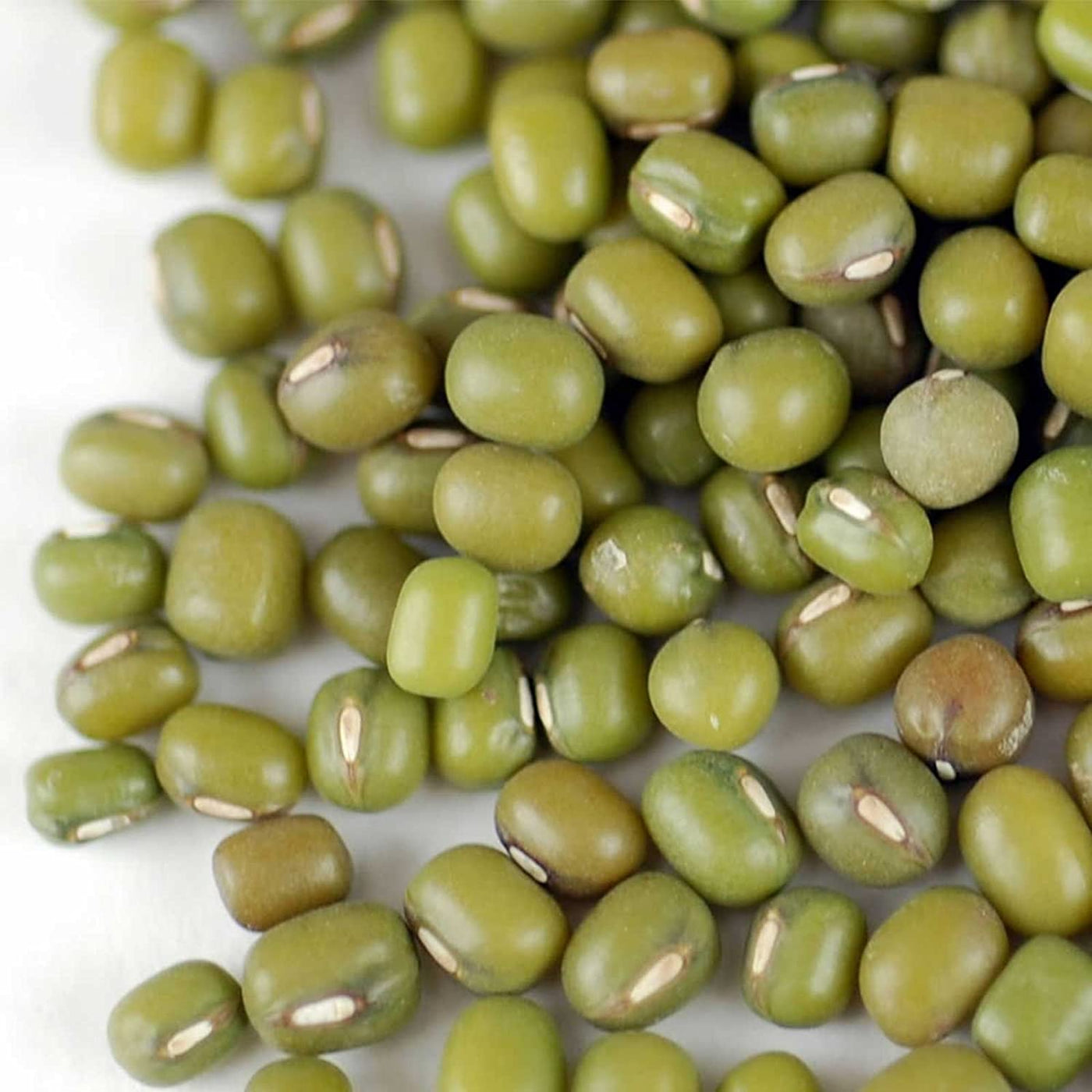 Close Up of Handy Pantry Organic Mung Bean Sprouting Seeds
