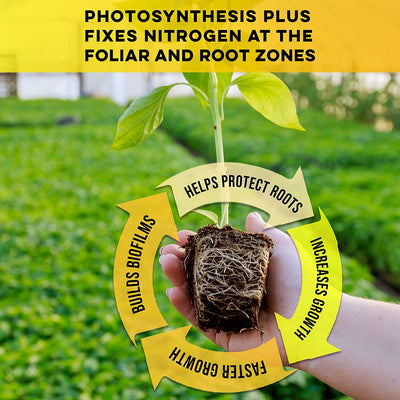 Photosynthesis Plus | Microbe Life Hydroponics | RMBA