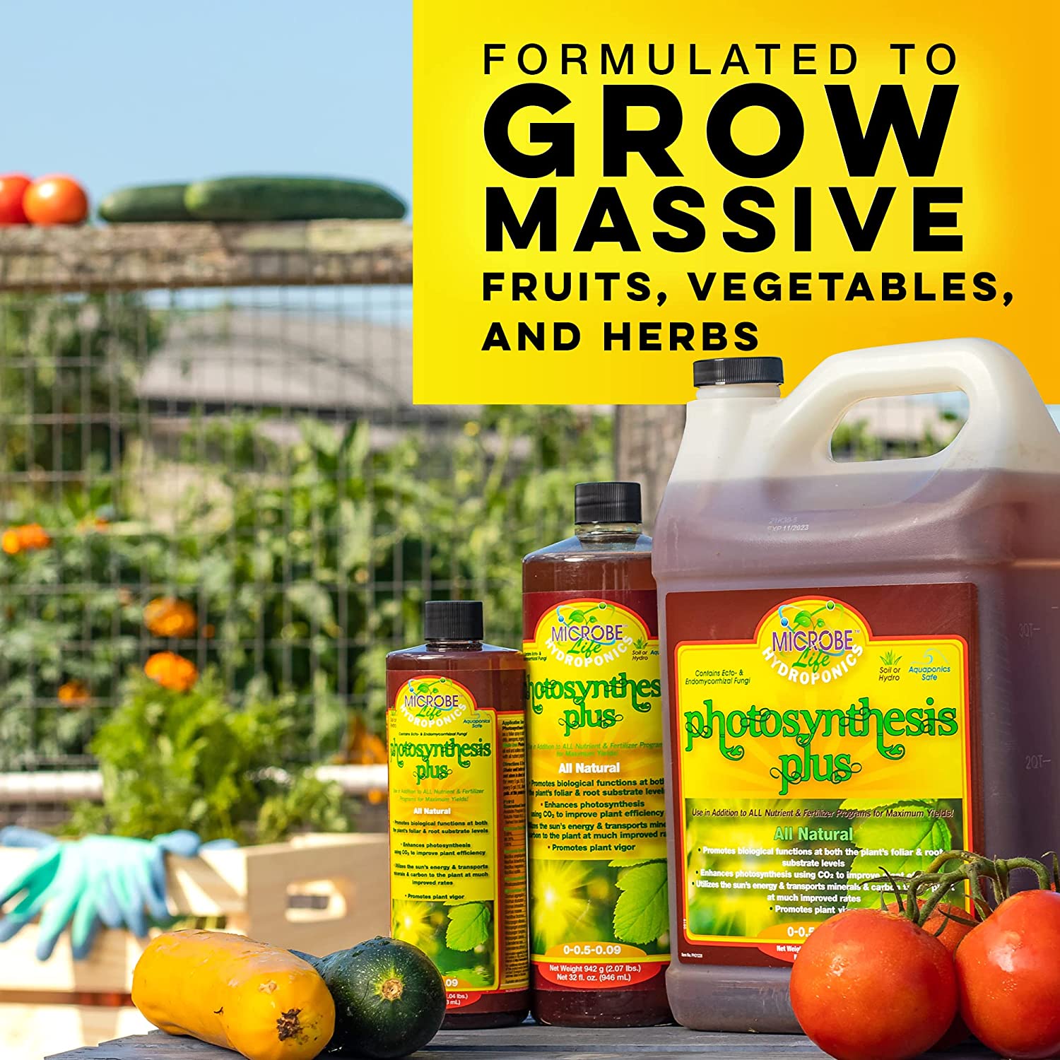 Photosynthesis Plus-OK - Thumbnail 5