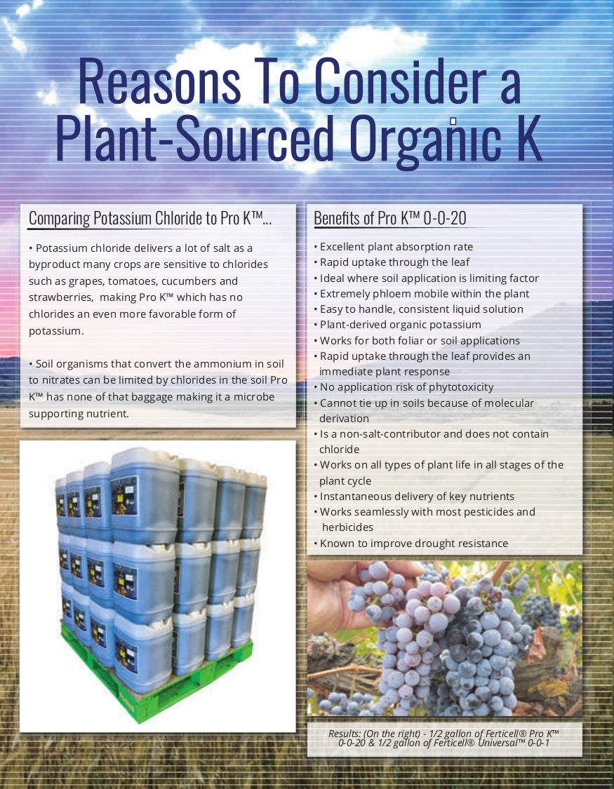Reasons to Try Ferticell Pro K 0-0-20 Organic Potassium Fertilizer