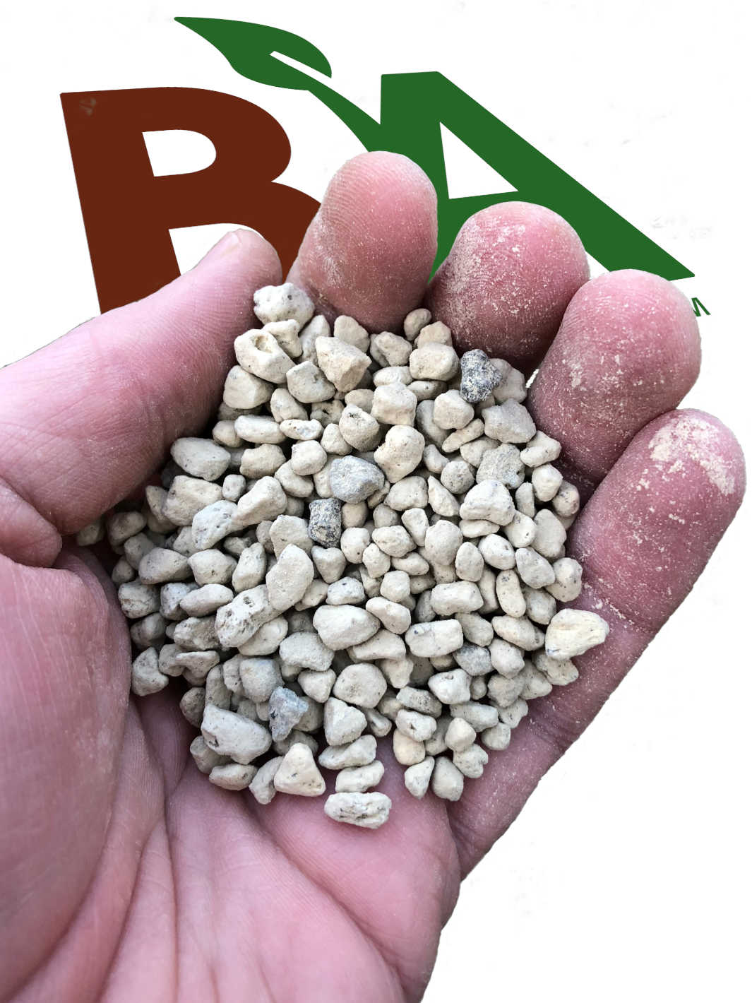 Person Holding Agricultural Pumice Rocks