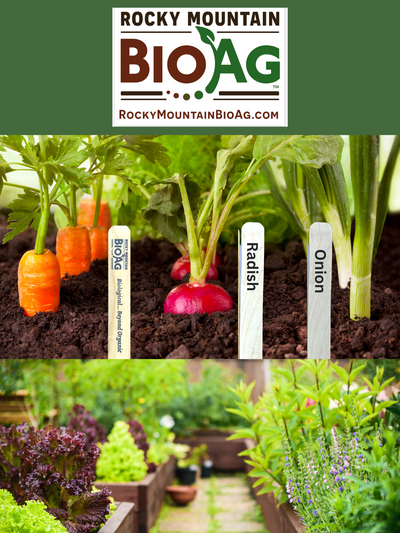 Rocky Mountain BioAg Natural Wood Garden Stakes in a Garden