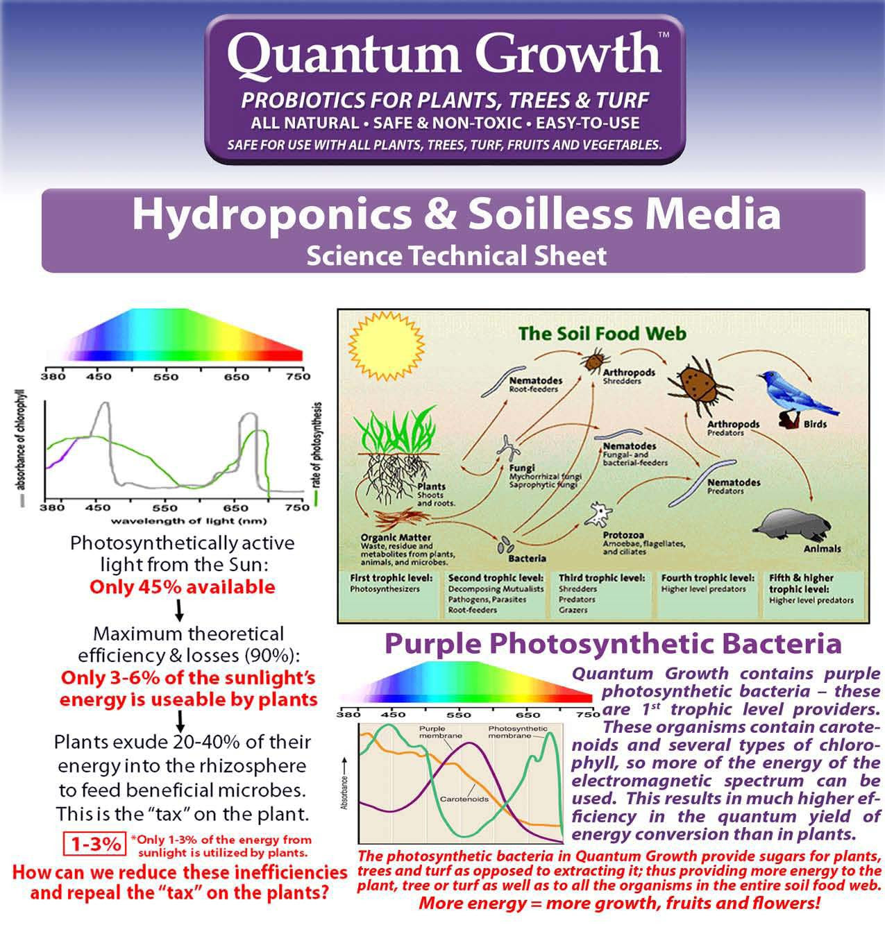 Quantum Growth Photosynthetic Bacteria Light Science and Soil Food Web 