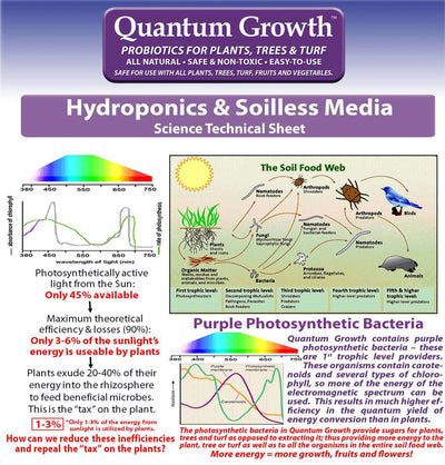 Quantum Growth Photosynthetic Bacteria Light Science and Soil Food Web 