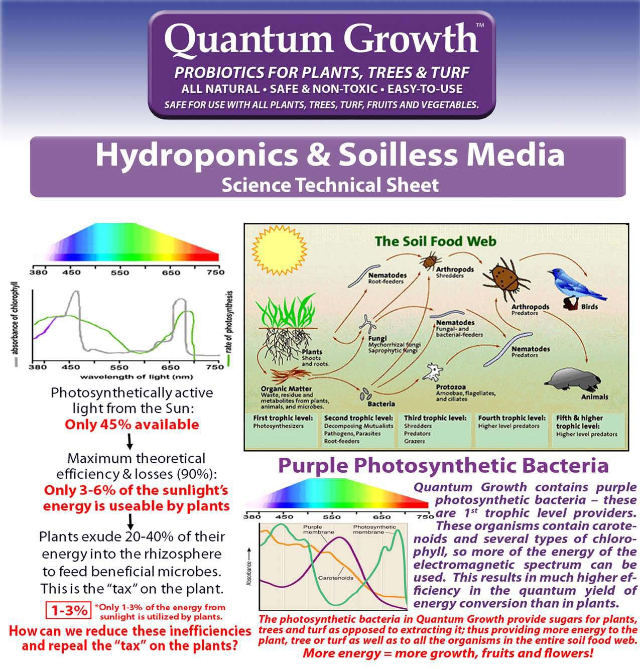 Quantum Growth Photosynthetic Bacteria Light Science and Soil Food Web